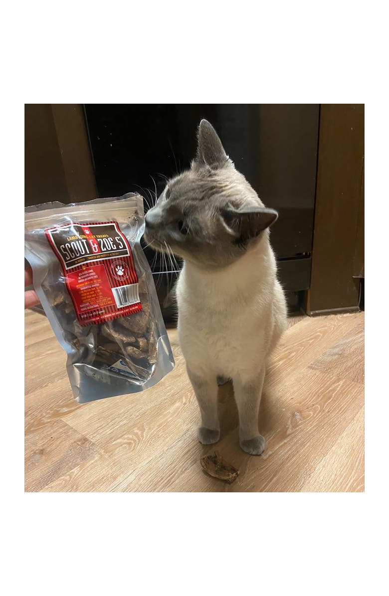 Scout & Zoe's Lamb Lung, 1.5oz Cat Treats, Single Ingredient, Crunchy Reward, Alternate, color, Multicolored