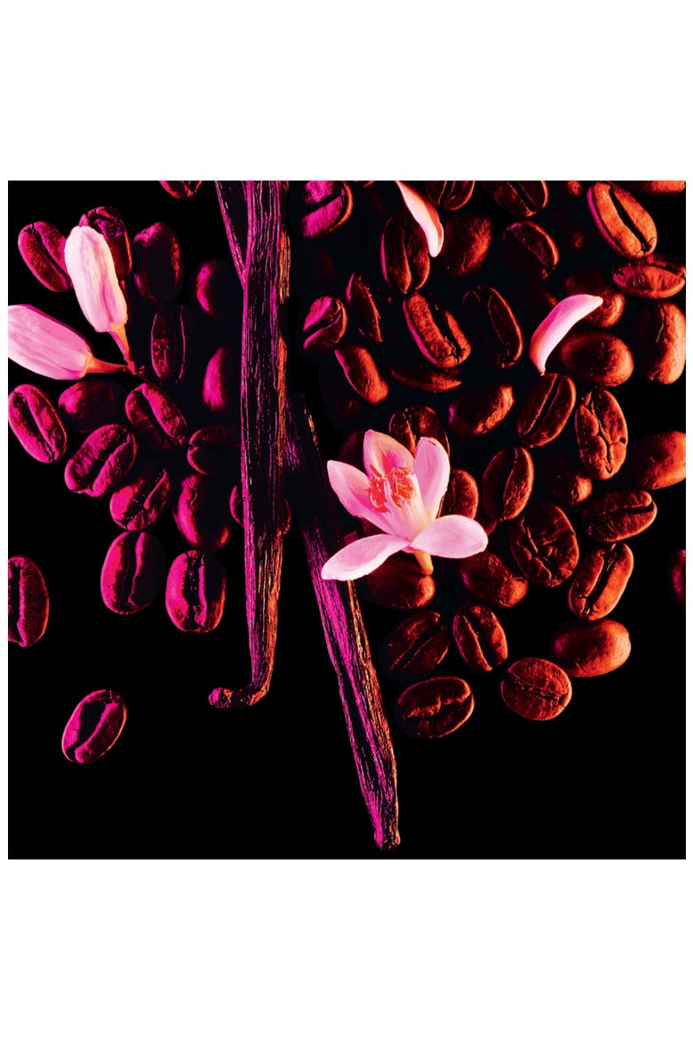 Black Opium Dry Oil for Body and Hair, Alternate, color, NO COLOR