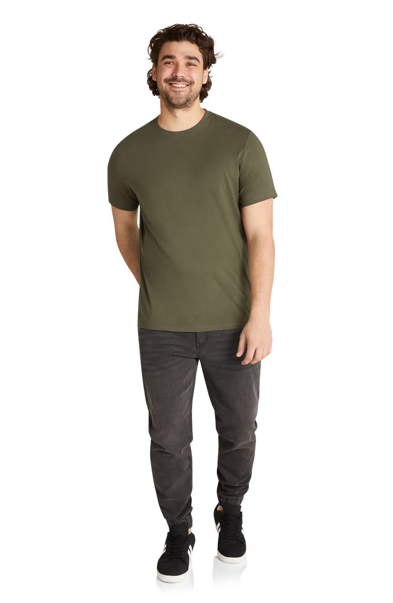 Johnny Bigg Essential Crewneck T-Shirt, Alternate, color, 