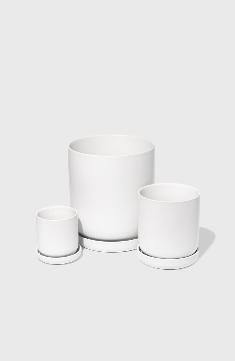 PUBLIC GOODS Assorted Stoneware Planters, Alternate, color, Matte White