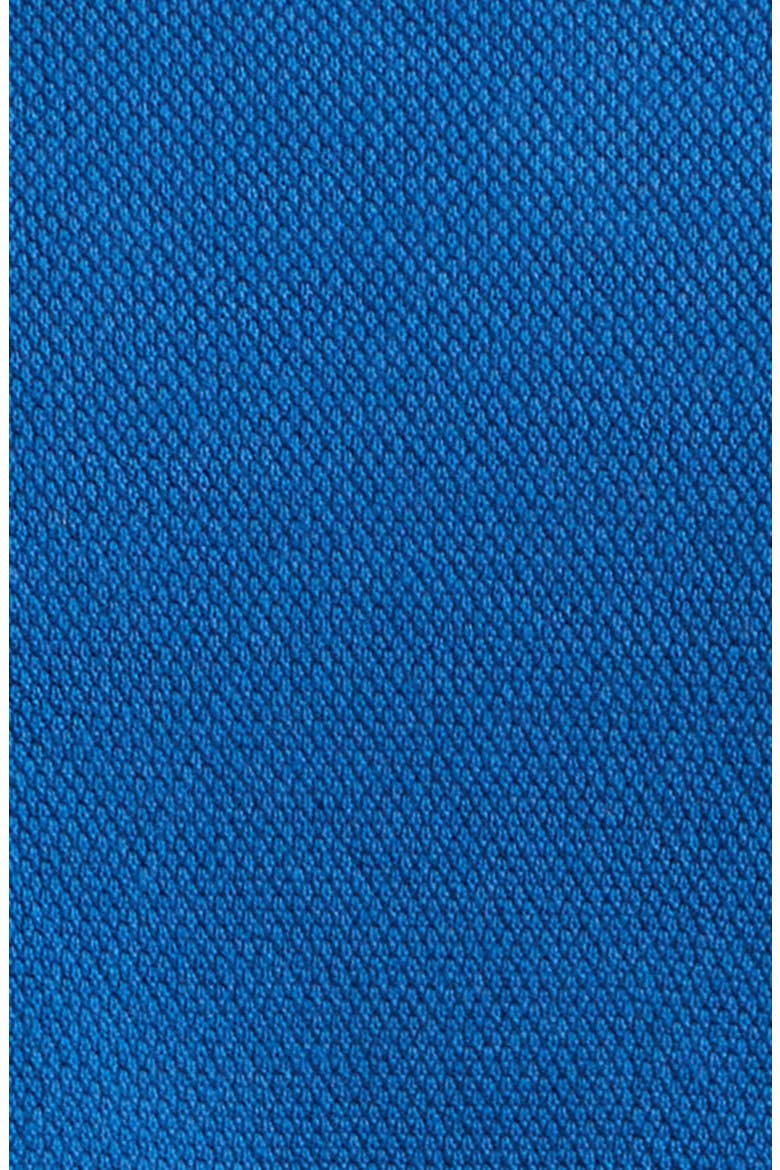Garment Dyed Cotton Polo, Alternate, color, ROYAL BLUE
