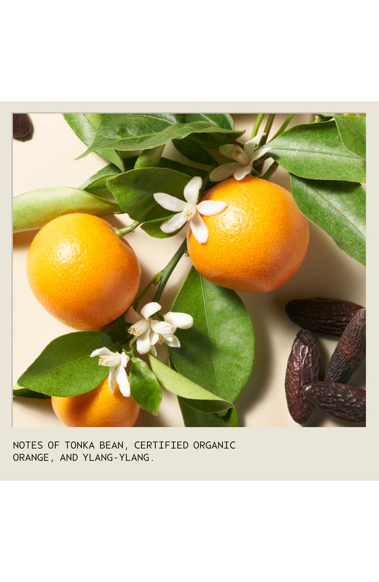 Aveda Cherry Almond Softening Shampoo, Alternate, color, 