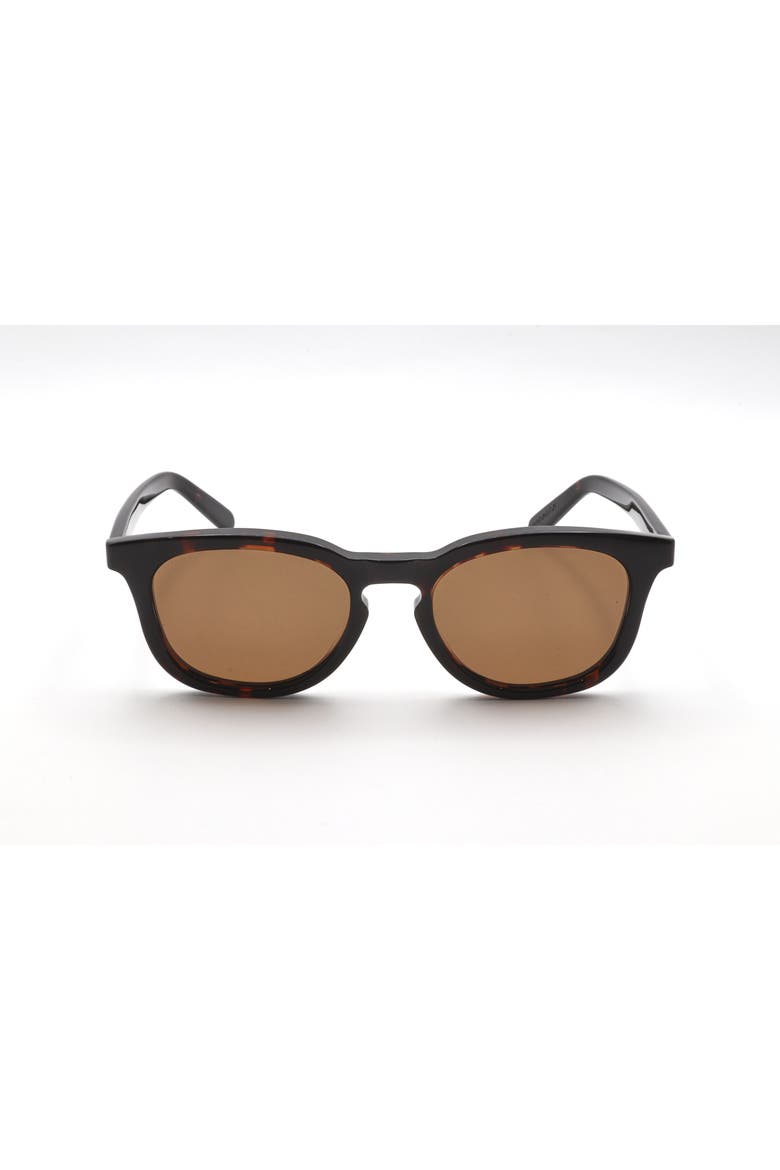 Round Sunglasses, Main, color, Brown Havana
