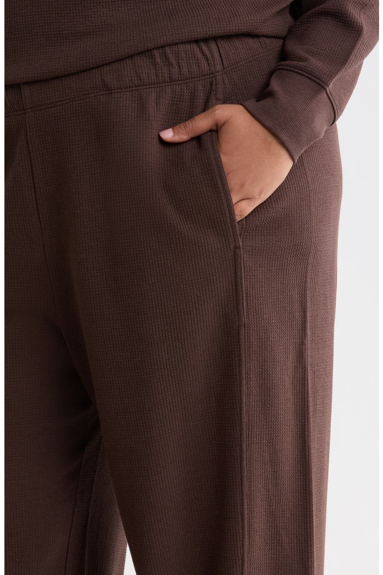 Organic Cotton & Tencel Lyocell Ankle Jogger Pants, Alternate, color, COFFEE
