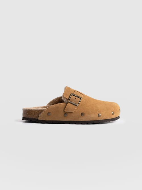 Saint + Sofia Studded Clogs In Brown