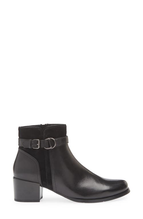 Regarde Le Ciel Jolene Block Heel Bootie In Black