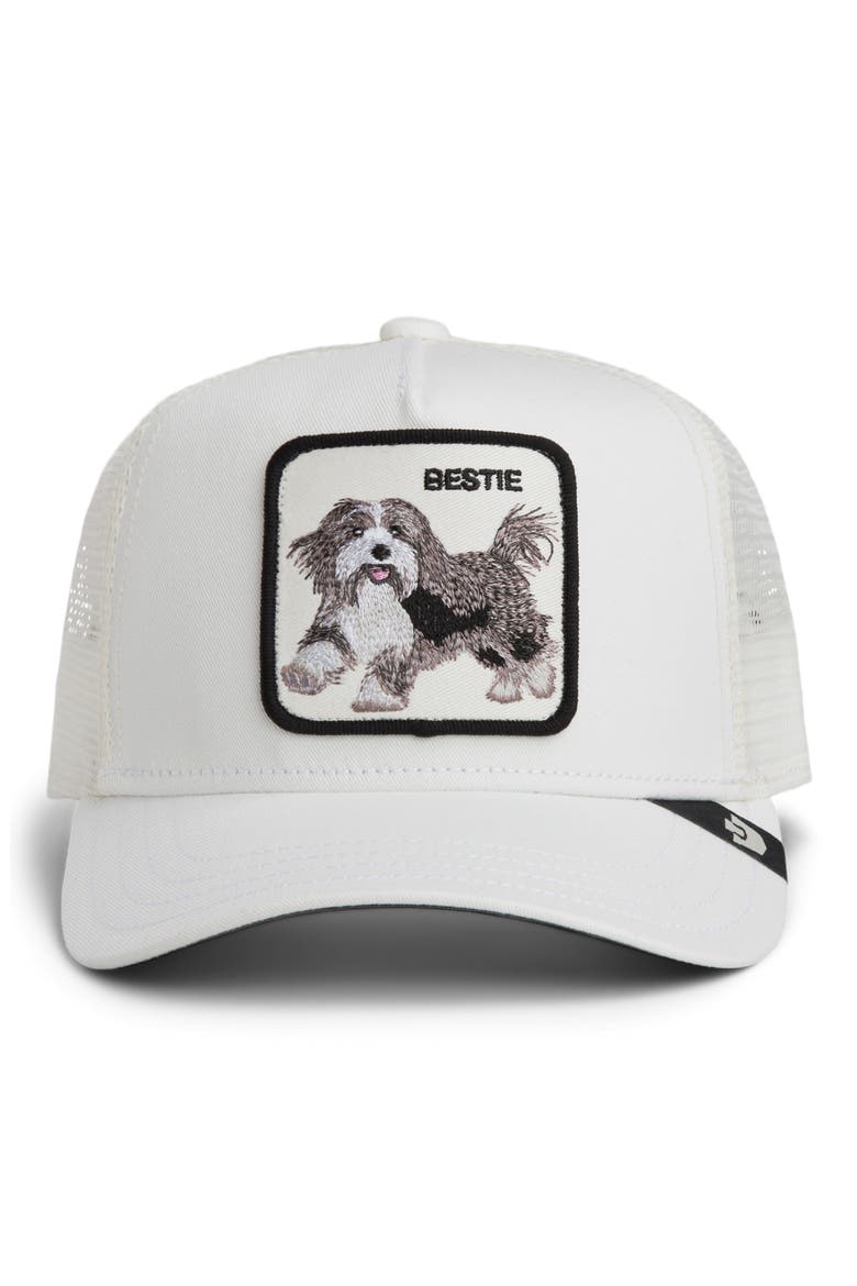 Bestie Patch Trucker Hat, Alternate, color, DUST