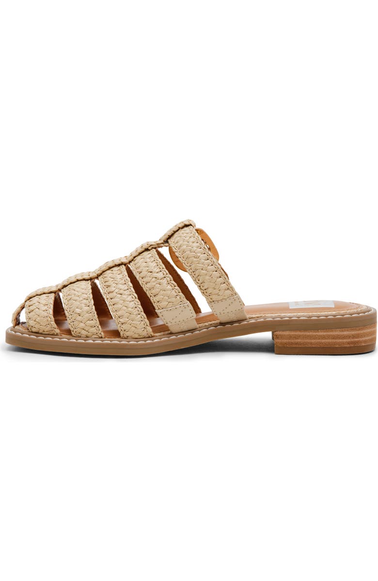 DV by Dolce Vita Fyona Mule Sandal, Alternate, color, Raffia