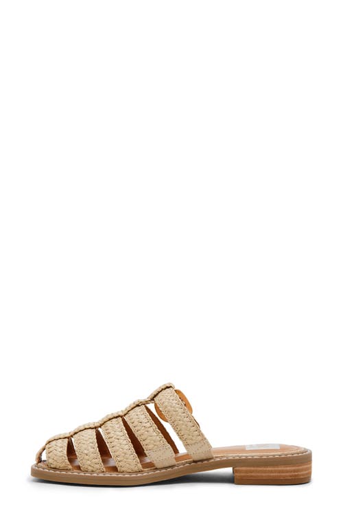 Dolce Vita Dv By Fyona Mule Sandal In Raffia