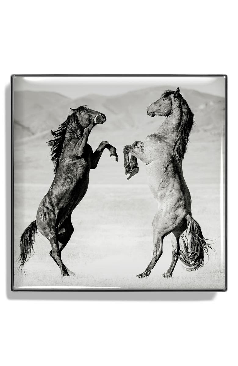 Chantecaille Luminescent Eyeshadow, Alternate, color,