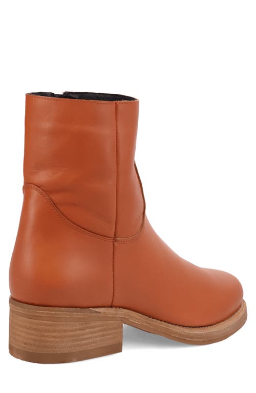 Dingo Banner Western Boot In Brown
