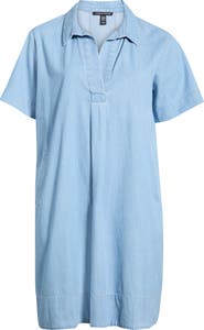 Eileen Fisher Classic Chambray Shift Dress