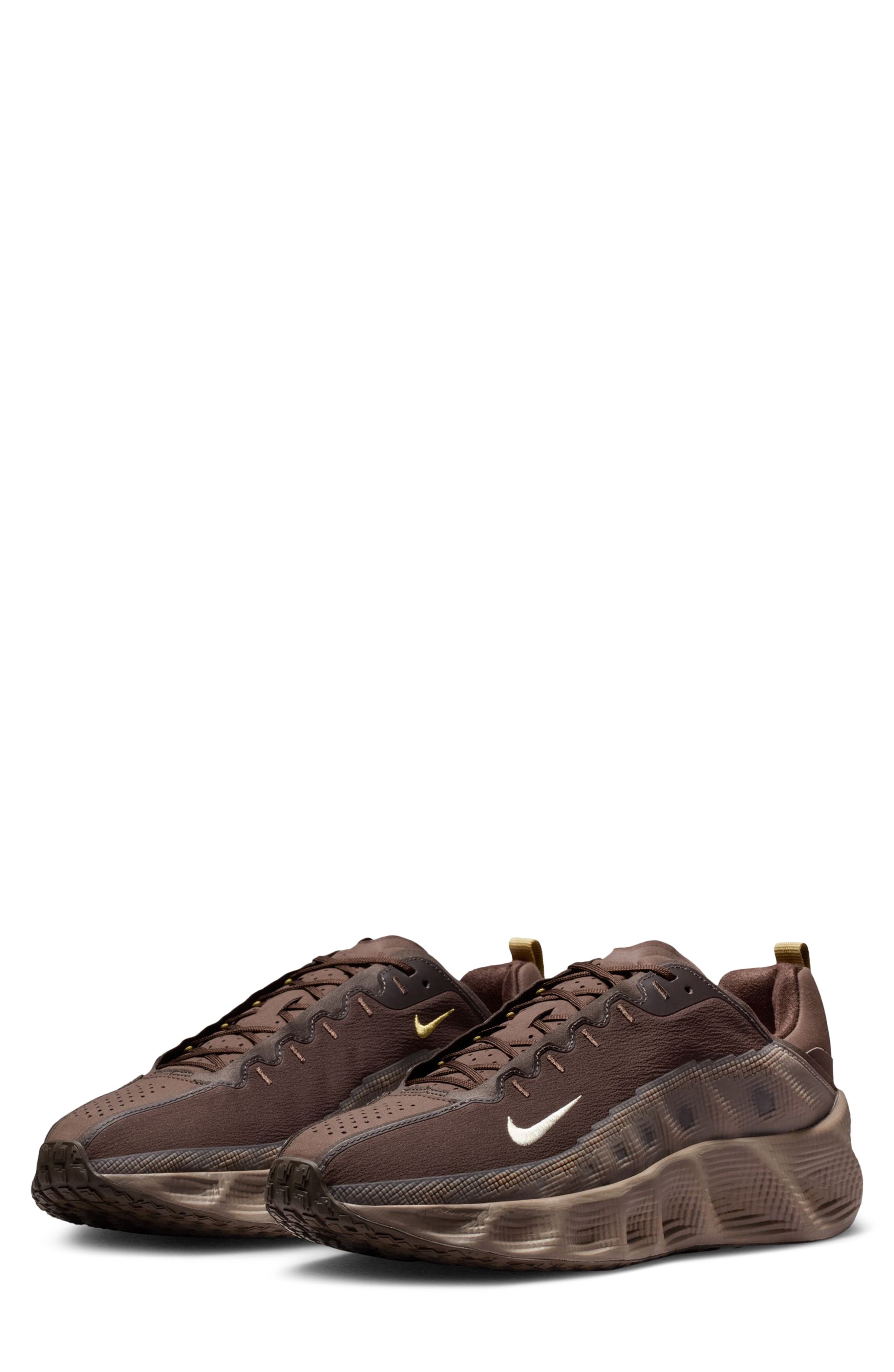  Baroque Brown/ Light Cream