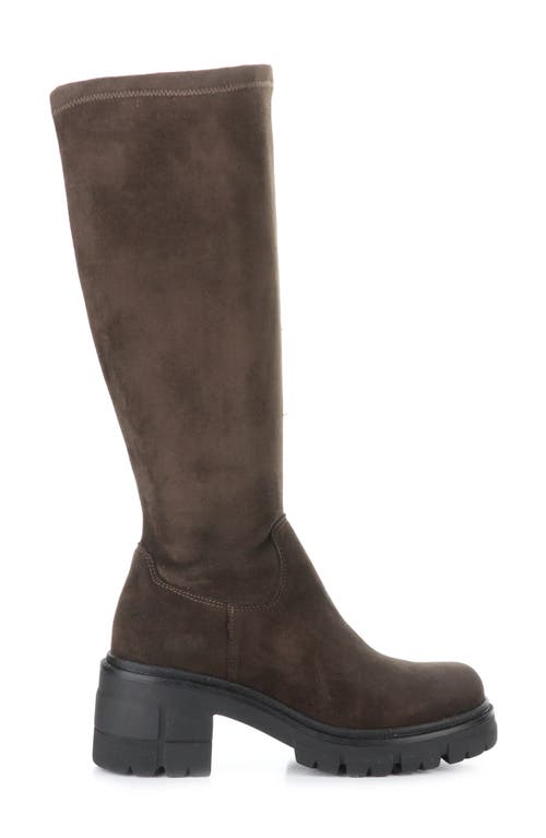 Bos. & Co. Brenna Waterproof Platform Knee High Boot In Brown