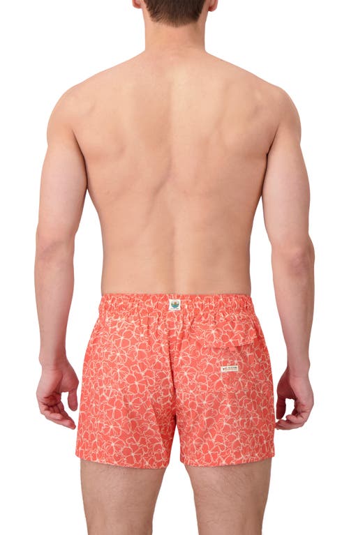 Sunset X Vine Floral Swim Trunks