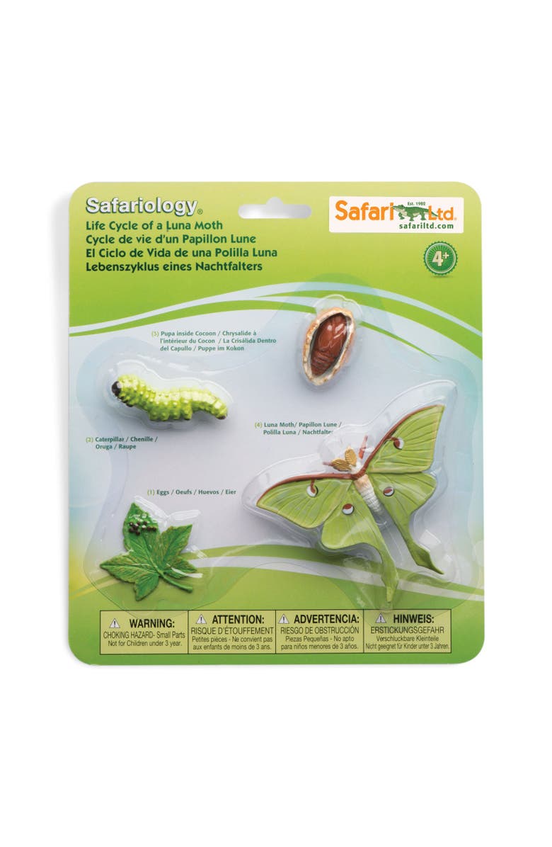 Safari Ltd. Life Cycle Of A Luna Moth, Main, color,