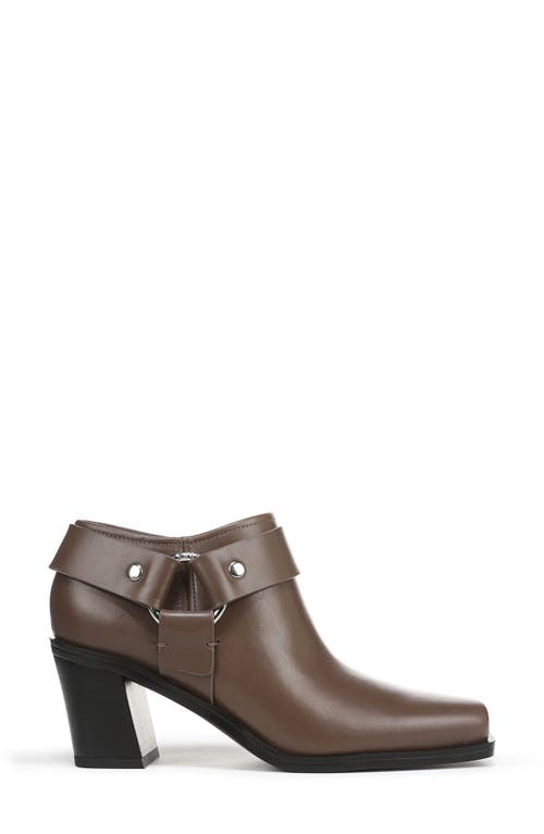 Sarto By Franco Sarto Imogen Harness Bootie In Brown