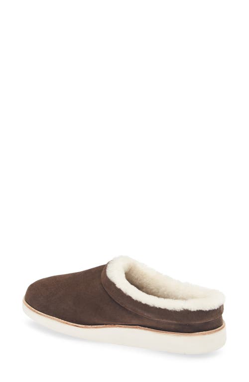 Olukai Mani Genuine Shearling Slipper In Brown