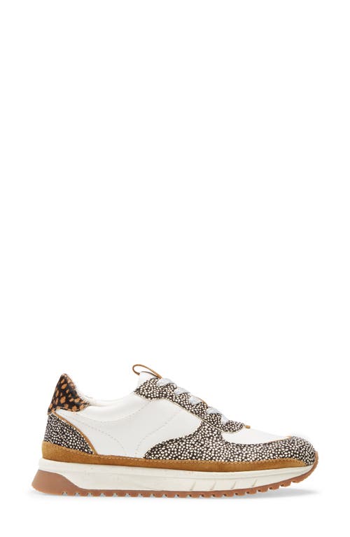 Shop Madewell Kickoff Sneaker In Olive Grove Multi
