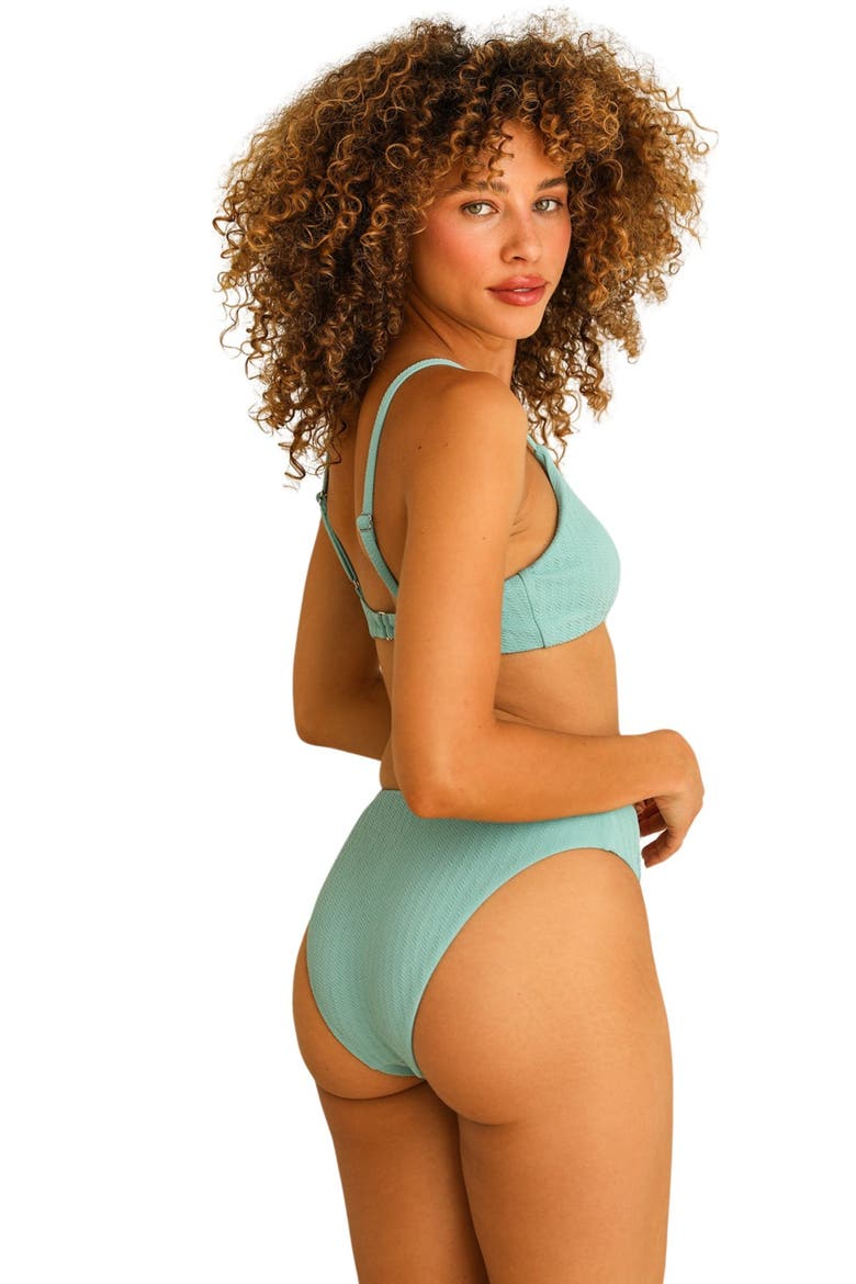 Seashore High Waist Cheeky Bikini Bottom, Alternate, color, Surf Rider