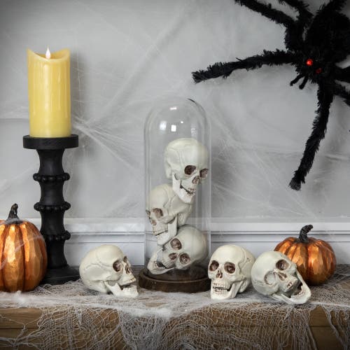 Northlight Skeleton Skulls Halloween Decorations In White