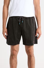 Gotcha Baja Norte Shorts