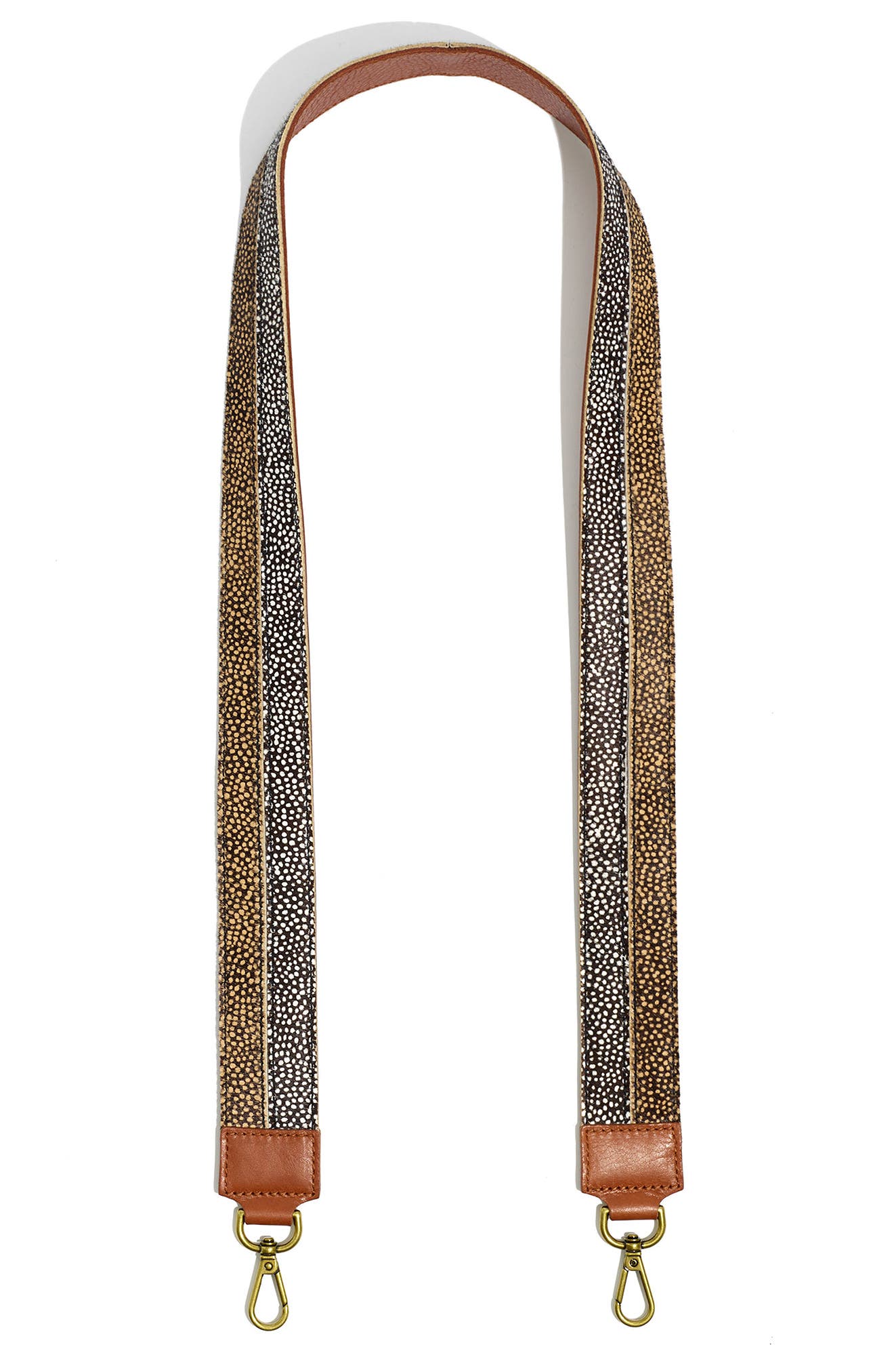 Madewell The Crossbody Colorblock Webbing Bag Strap, Main, color, 