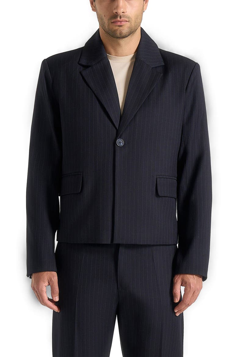 Silas Pinstriped Tailored Cropped Blazer, Alternate, color, Navy Pinstripe