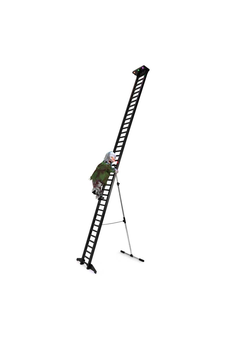 10 ft. Outdoor Ladder Climbing Zombie, Main, color, Multicolor