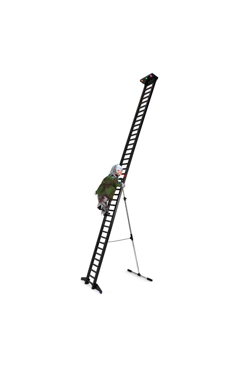 Mr. Halloween 10 ft. Outdoor Ladder Climbing Zombie, Main, color, Multicolor
