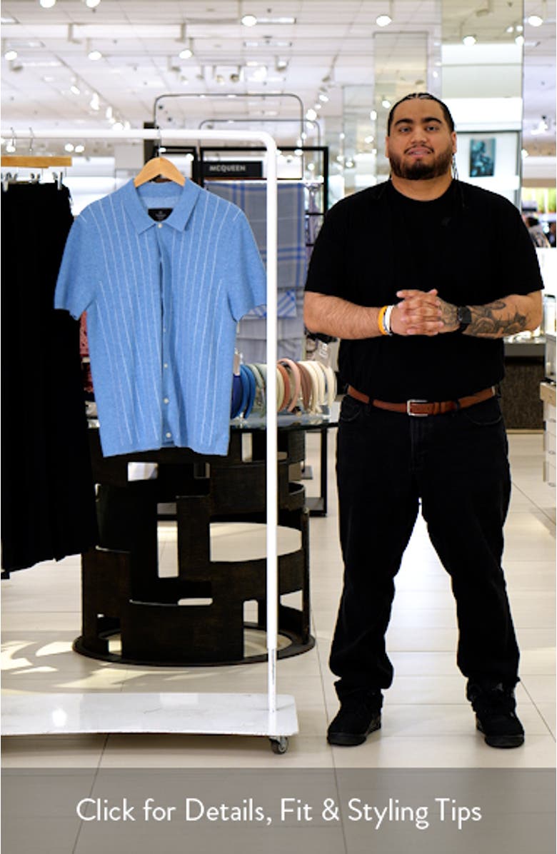 Piazza Stripe Cotton & Linen Blend Button-Up Shirt, sales video thumbnail