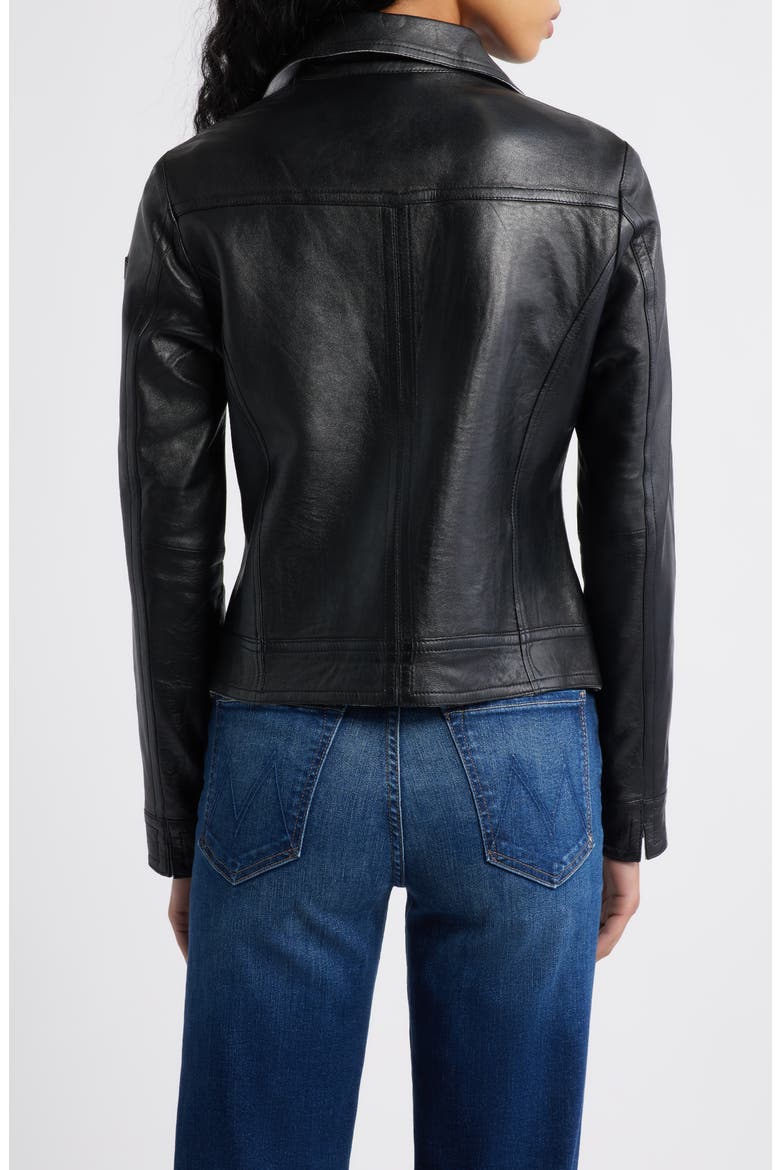 Lusan Leather Moto Jacket, Alternate, color, BLACK