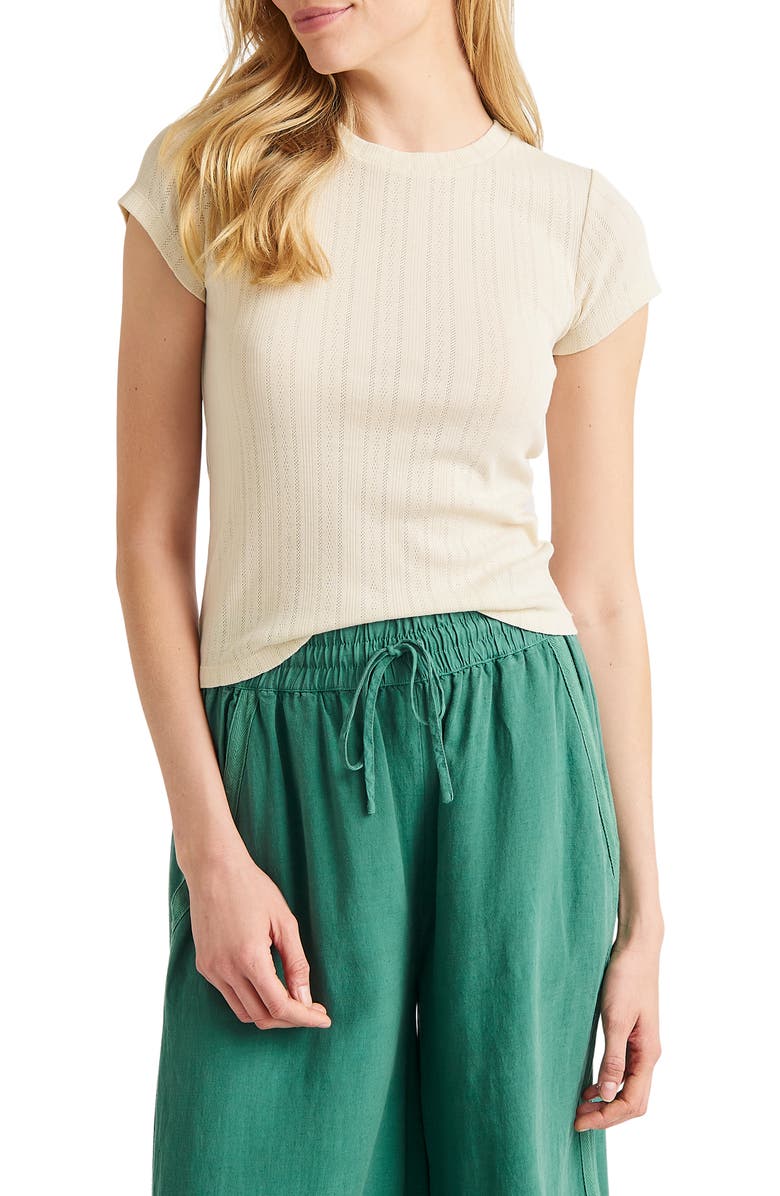 Splendid Arlie Pointelle Top, Main, color,