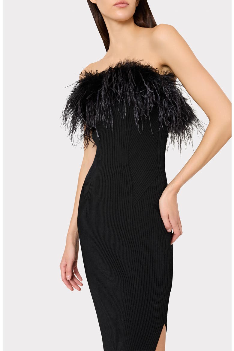 Robena Feather Detail Midi Dress, Alternate, color, BLACK