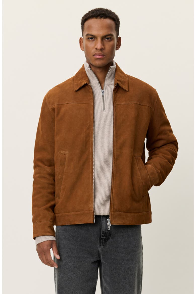 Nyle Goatskin Suede Coach's Jacket, Alternate, color, BROWN