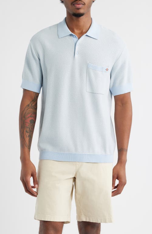 Dickies Rocky Textured Cotton Polo In Blue