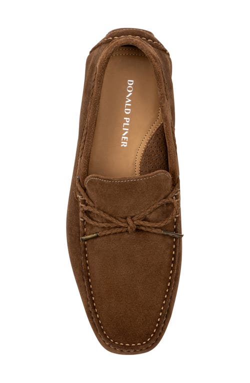 Donald Pliner Dutton Driving Loafer In Brown
