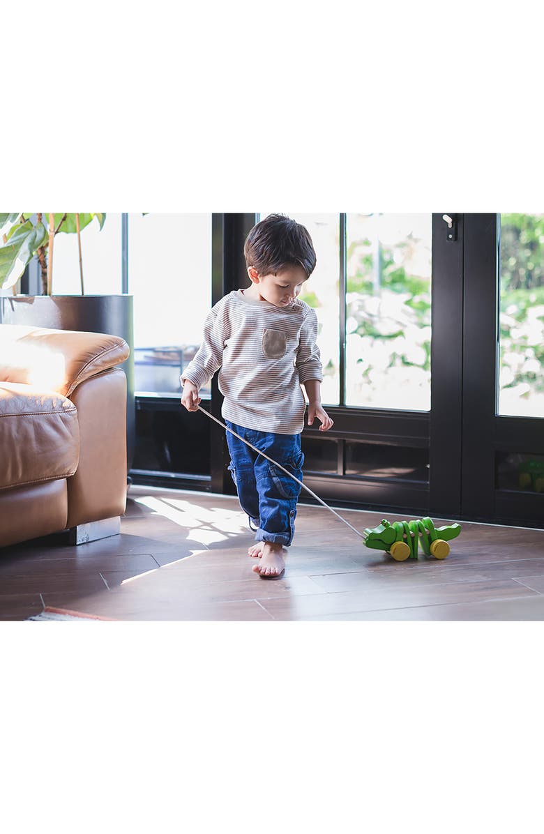 PlanToys<sup>®</sup> Dancing Alligator Pull Toy, Alternate, color, Green