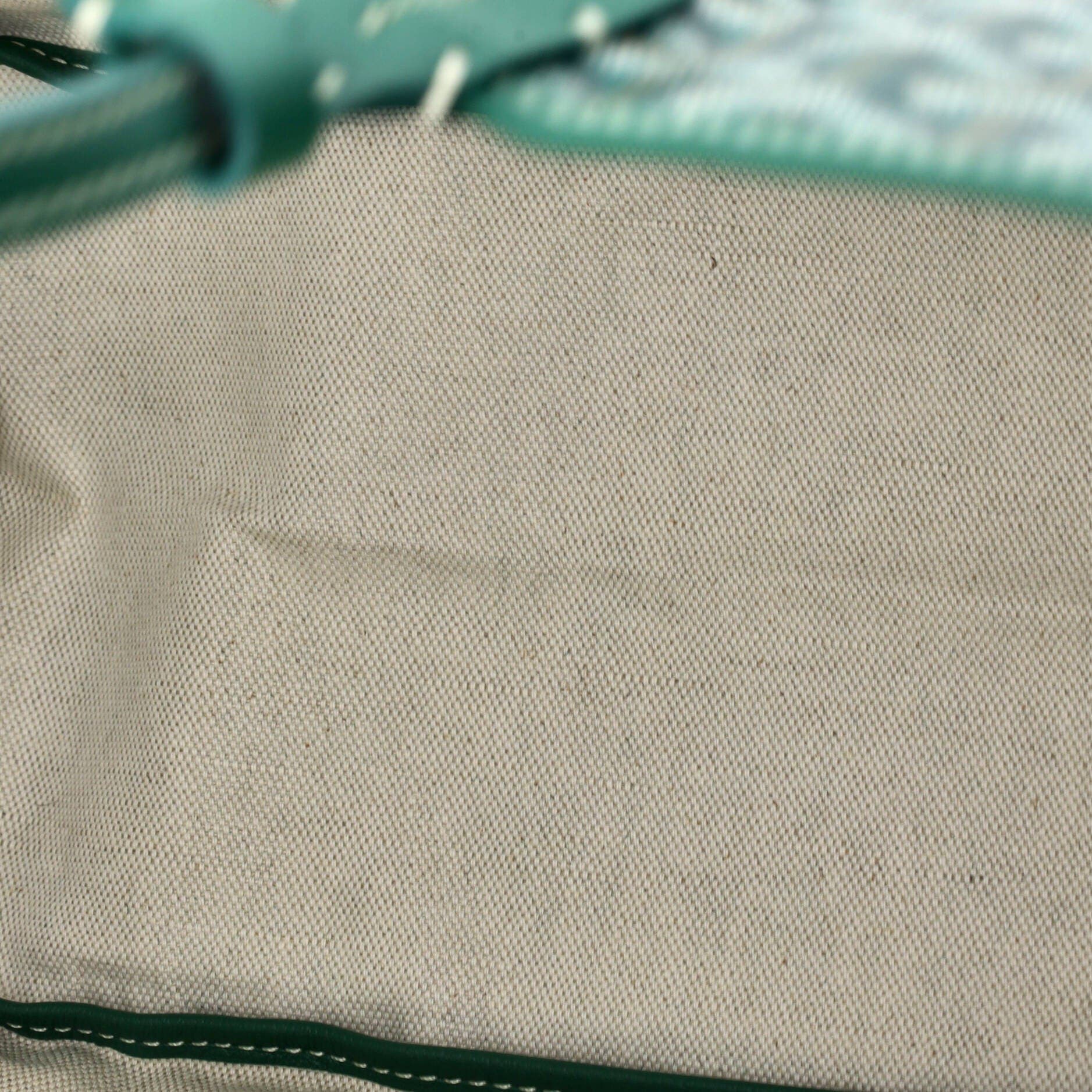 Saint Louis Tote Coated Canvas PM, Alternate, color, Green