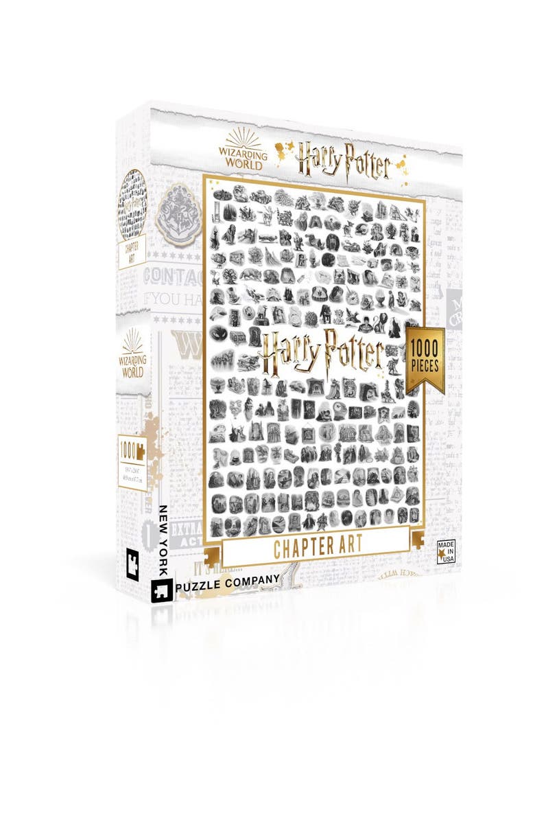 NEW YORK PUZZLE COMPANY Chapter Art 1000 Piece Puzzle, Alternate, color, NO COLOR