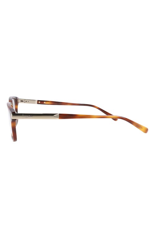 Brioni Novelty 55mm Rectangle Optical Glasses In Havana Havana Transparent
