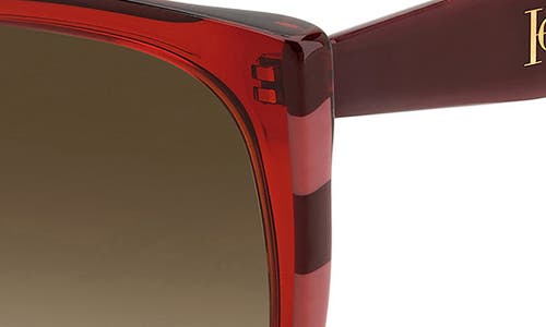 Carolina Herrera 54mm Square Sunglasses In Brown