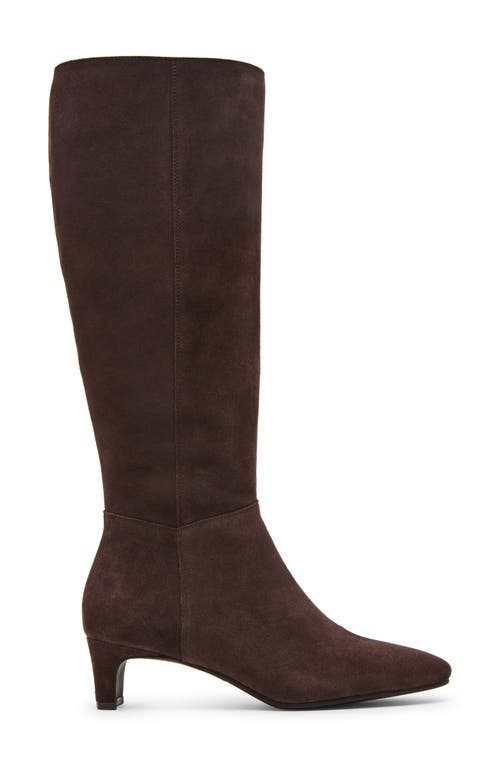 Blondo Stella Waterproof Knee High Boot In Brown
