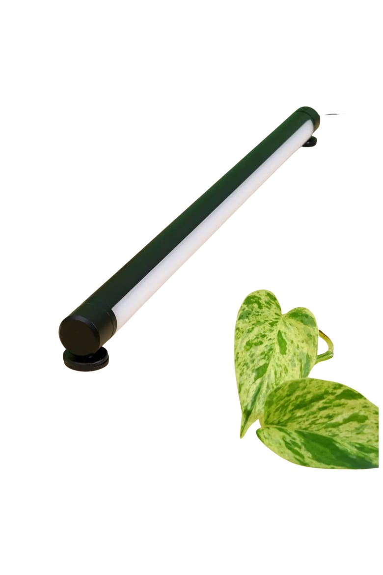 Grove LED Grow Light Plant Lighting, Alternate, color, White