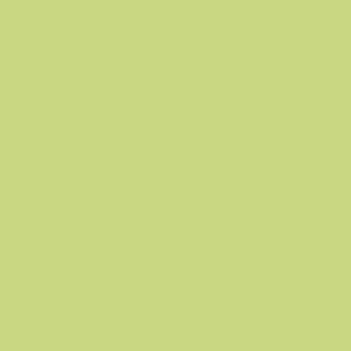 Ro&zo Long Sleeve V-neck Knit Sweater In Lime