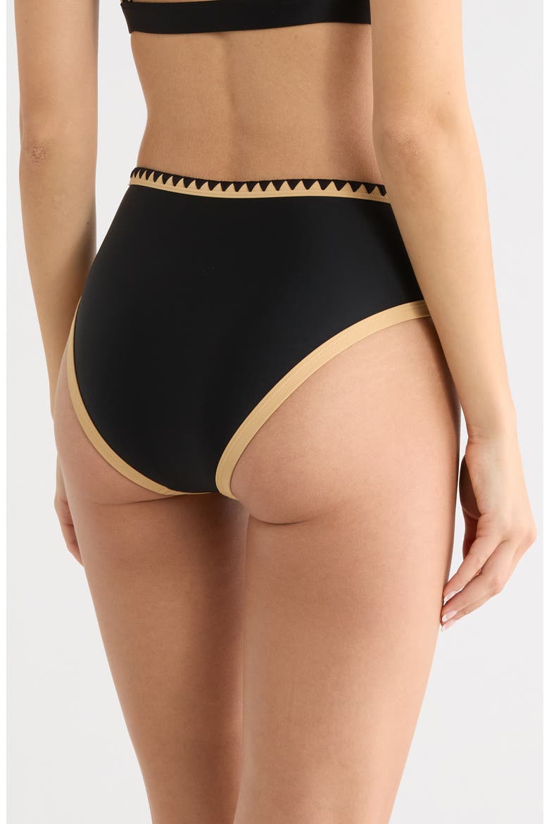 Mallory Embroidered Bikini Bottoms, Alternate, color, BLACK COLORBLOCK