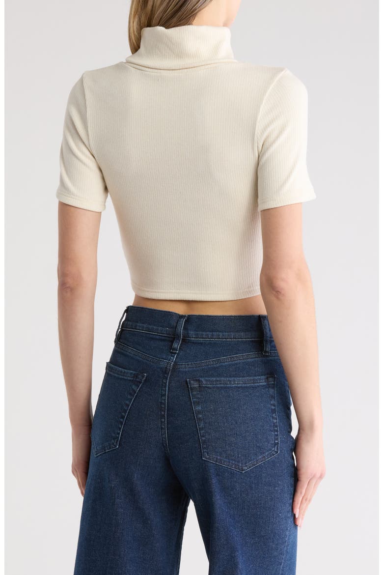 Anne Short Sleeve Turtleneck Crop Top, Alternate, color, CREAM