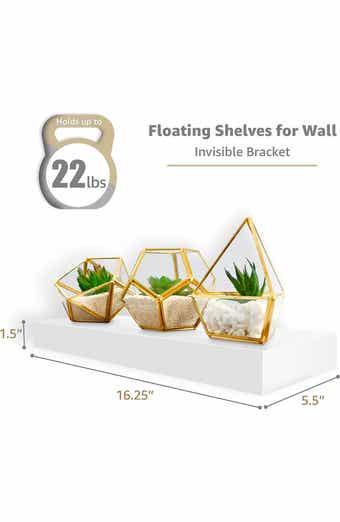 Set of 4 Floating Wall Shelves