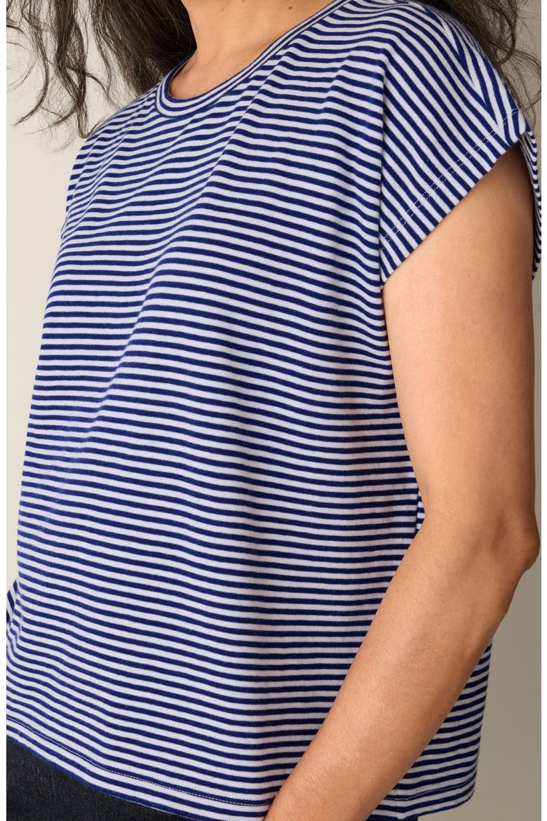 Striped Organic Cotton T-Shirt, Alternate, color, INFINITY