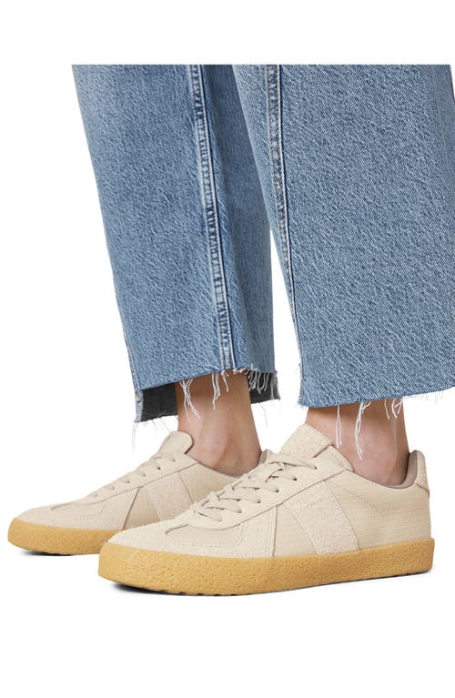 Allsaints Jaimee Low Top Ripstop Trainers In Chalk White